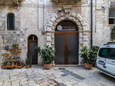 L�ingresso � rappresentato da un monumentale portale ad arco a tutto sesto con triplice fascia di bugne alternate...